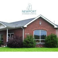 Newport Veterinary Hospital ico