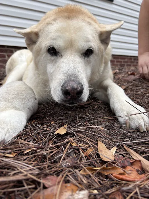 Newport Veterinary Hospital Picture 6
