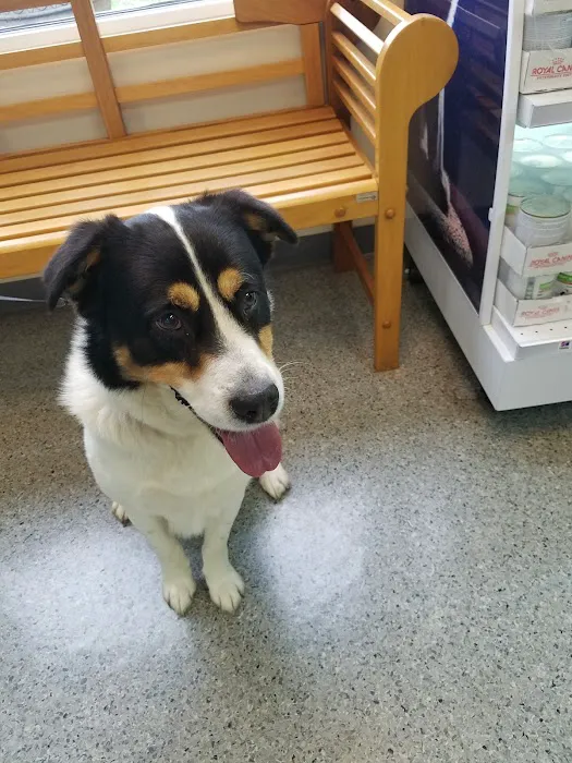 Newport Veterinary Hospital Picture 5