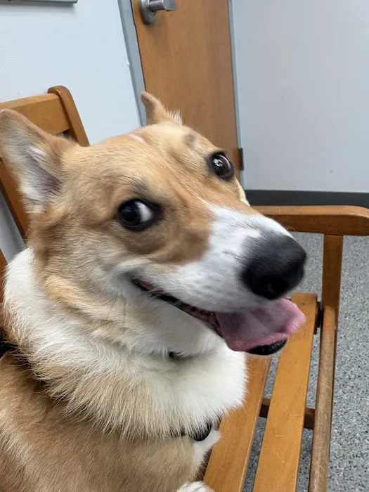 Newport Veterinary Hospital Picture 7