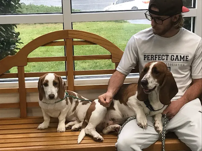 Newport Veterinary Hospital Picture 9