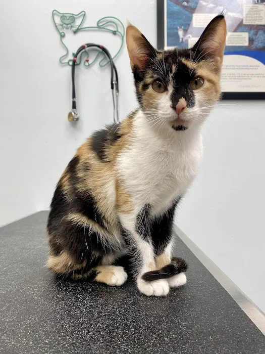 Newport Veterinary Hospital Picture 8