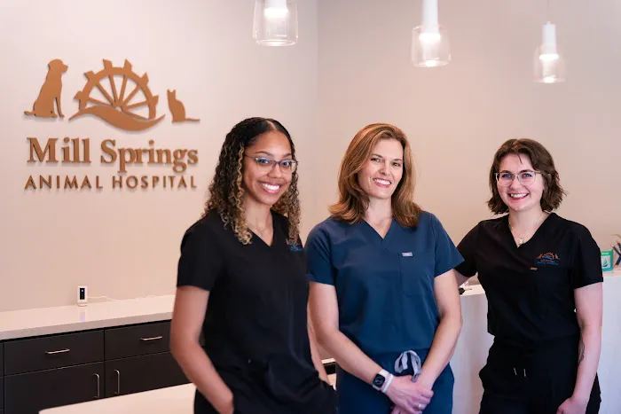Mill Springs Animal Hospital Picture 4