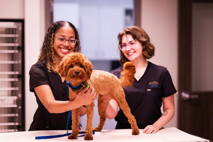 Mill Springs Animal Hospital Picture 10