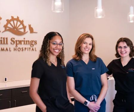 Mill Springs Animal Hospital