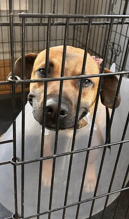 Mill Springs Animal Hospital Picture 7
