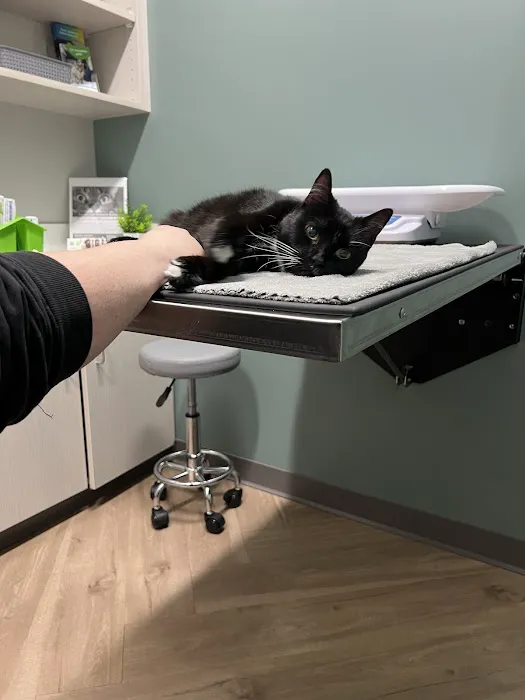Mill Springs Animal Hospital Picture 8