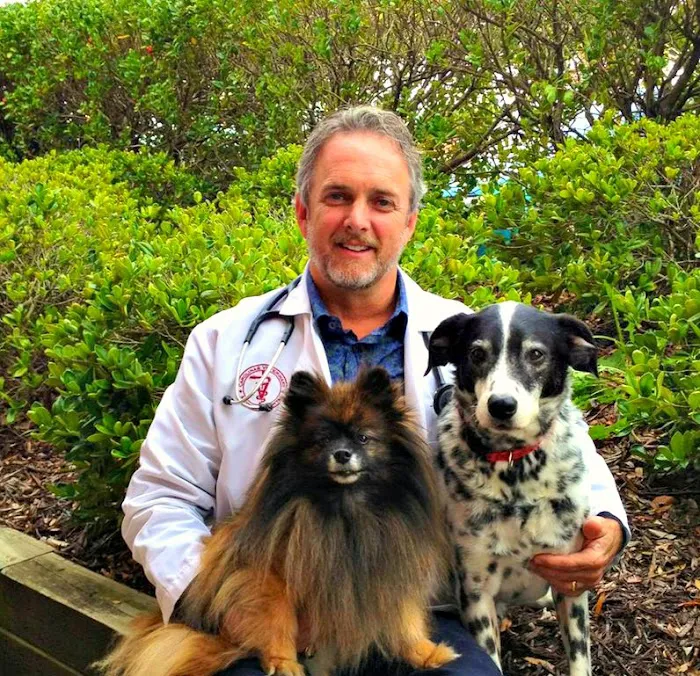 Carolinas Veterinary Medical Hospital Picture 1