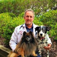 Carolinas Veterinary Medical Hospital ico