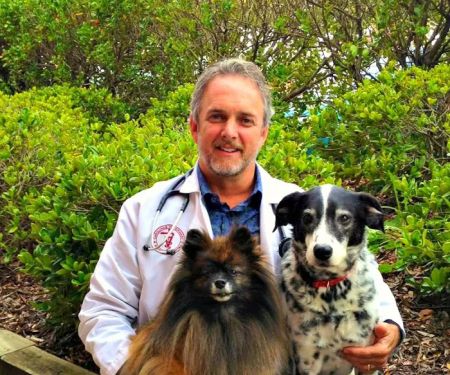 Carolinas Veterinary Medical Hospital