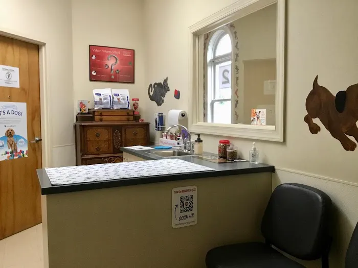 Carolinas Veterinary Medical Hospital Picture 6