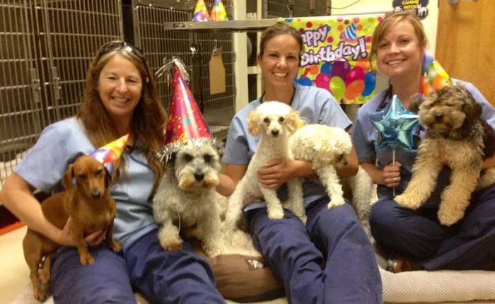 Carolinas Veterinary Medical Hospital Picture 10