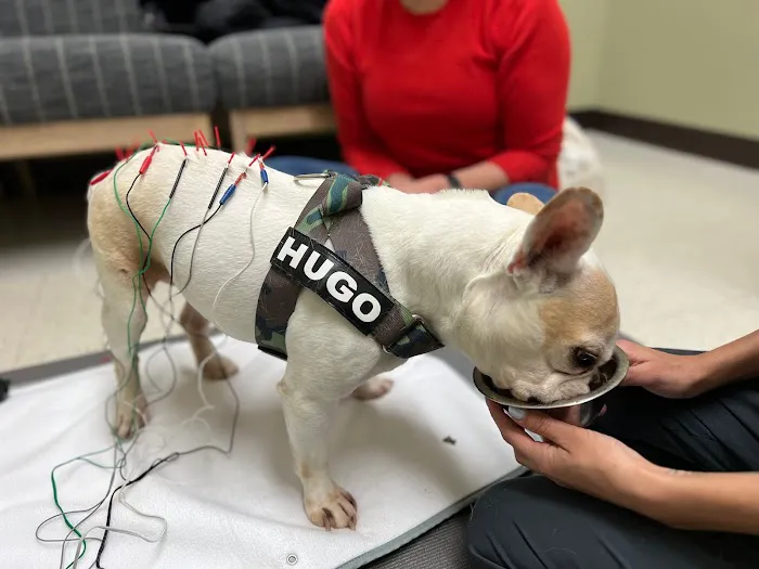 Whole Pet Veterinary Hospital - South Charlotte Picture 5