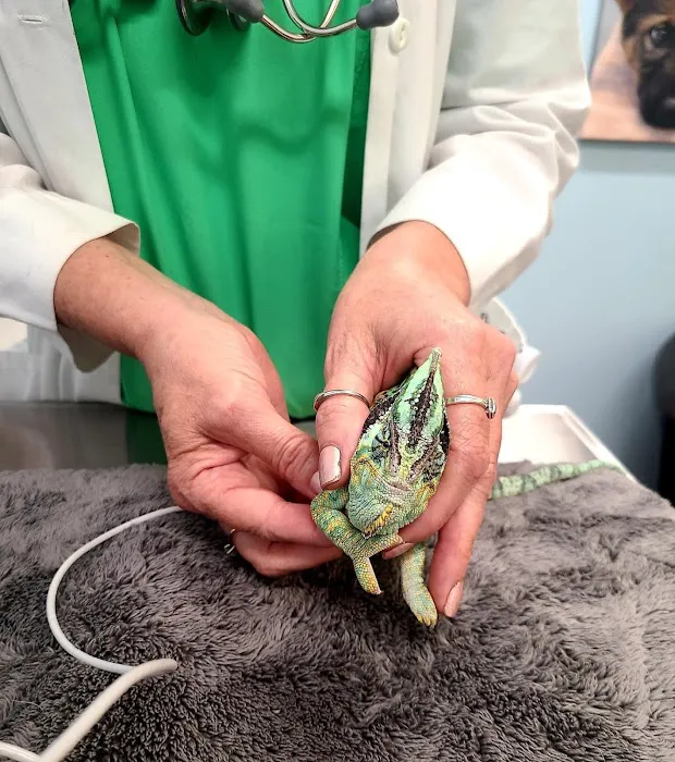 Whole Pet Veterinary Hospital - South Charlotte Picture 9