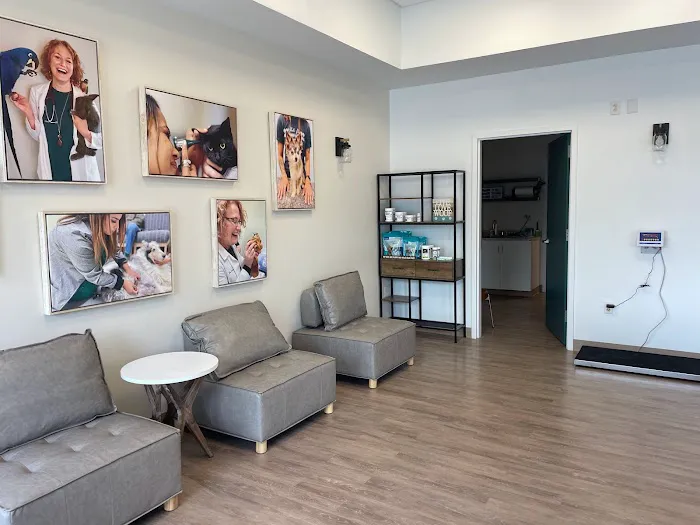 Whole Pet Veterinary Hospital - South Charlotte Picture 6