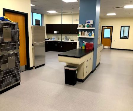 Carmel Road Animal Hospital