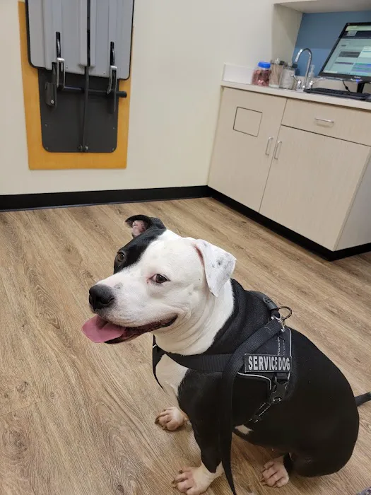 Carmel Road Animal Hospital Picture 3
