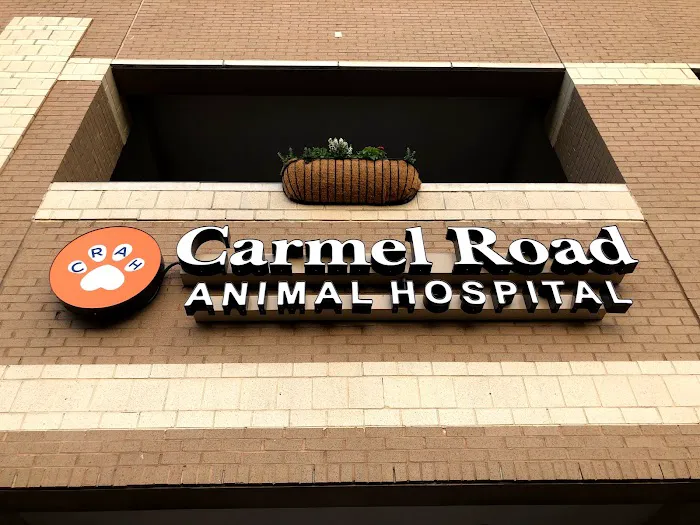 Carmel Road Animal Hospital Picture 4