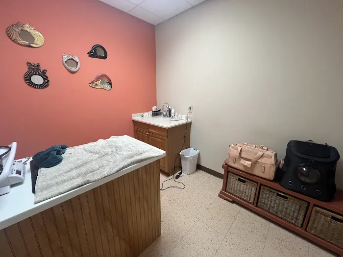 4 Seasons Cat Hospital Picture 6