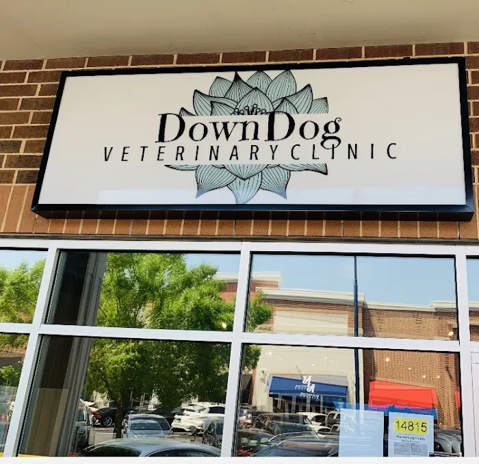DownDog Veterinary Clinic Picture 1