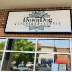 DownDog Veterinary Clinic