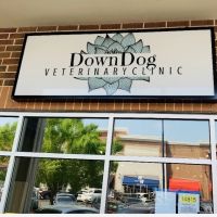 DownDog Veterinary Clinic ico