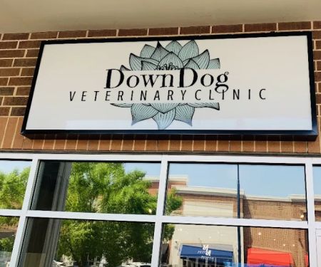 DownDog Veterinary Clinic