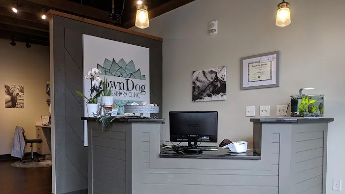 DownDog Veterinary Clinic Picture 2