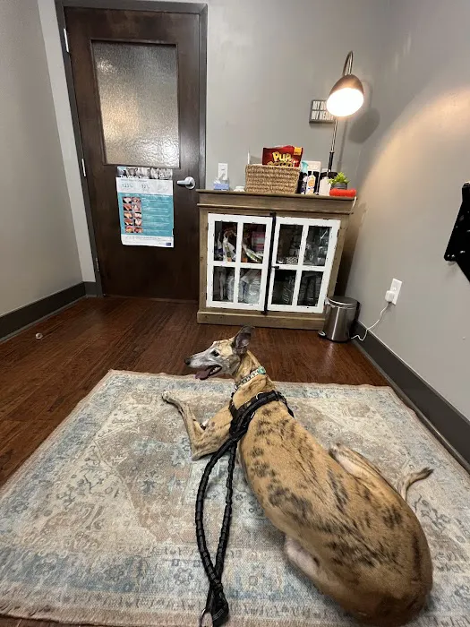 DownDog Veterinary Clinic Picture 3