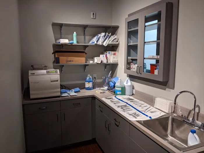 DownDog Veterinary Clinic Picture 10