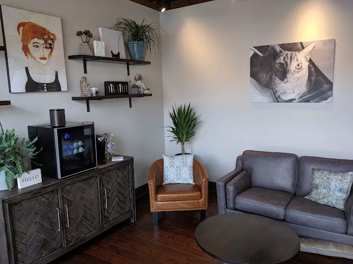 DownDog Veterinary Clinic Picture 4