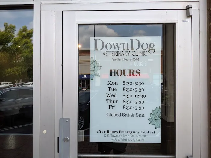 DownDog Veterinary Clinic Picture 7