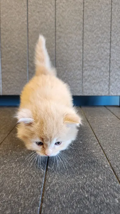 Banfield Pet Hospital Picture 2