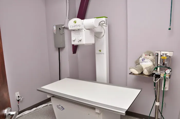 West Ballantyne Animal Hospital Picture 5