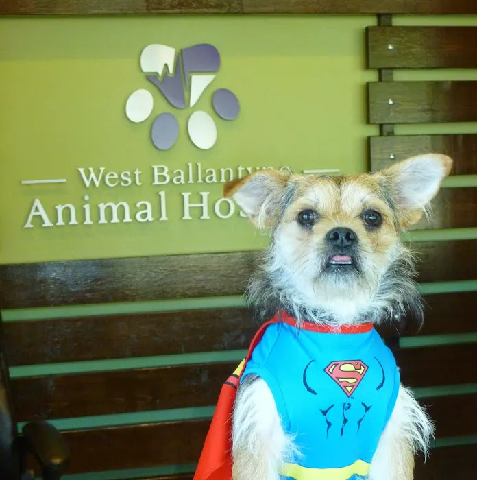 West Ballantyne Animal Hospital Picture 4