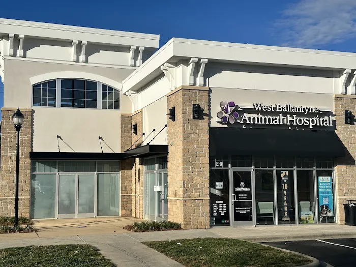 West Ballantyne Animal Hospital Picture 6