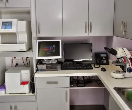 West Ballantyne Animal Hospital
