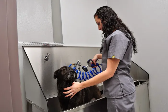 West Ballantyne Animal Hospital Picture 8
