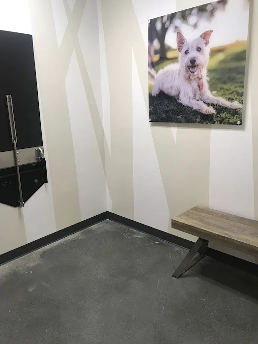 Vetco Total Care Animal Hospital Picture 9