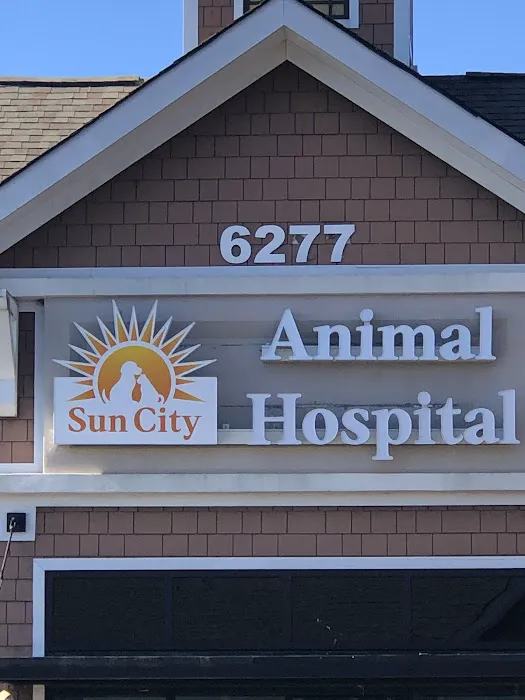 Sun City Animal Hospital Indian Land Fort Mill Vet Picture 7