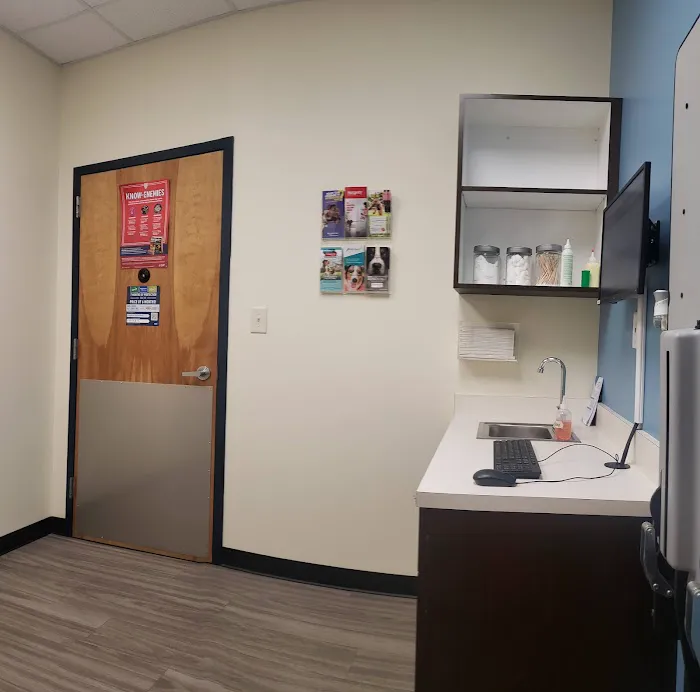 Sun City Animal Hospital Indian Land Fort Mill Vet Picture 8