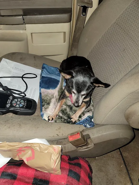 Sun City Animal Hospital Indian Land Fort Mill Vet Picture 9