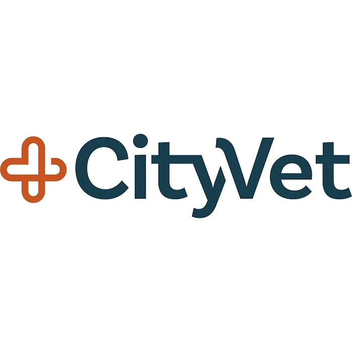 CityVet | Marvin Picture 4