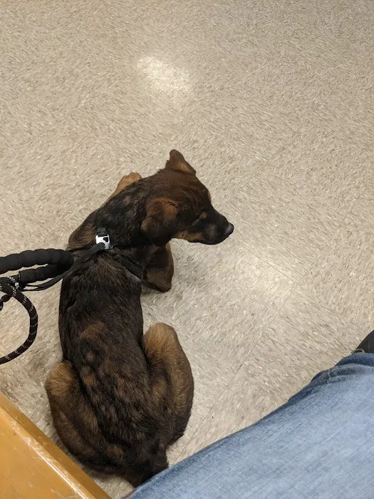 Banfield Pet Hospital Picture 9
