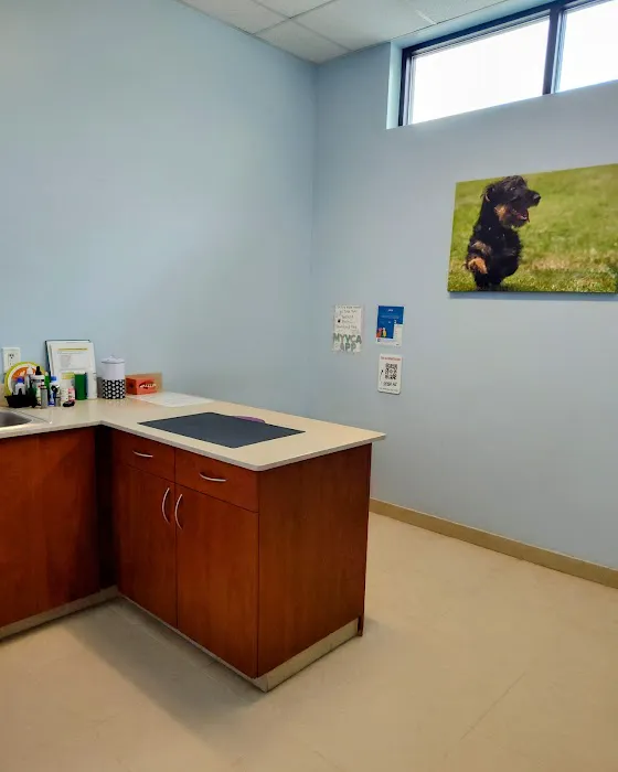 VCA Indian Land Animal Hospital Picture 10