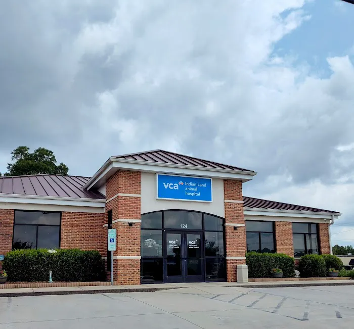 VCA Indian Land Animal Hospital Picture 7