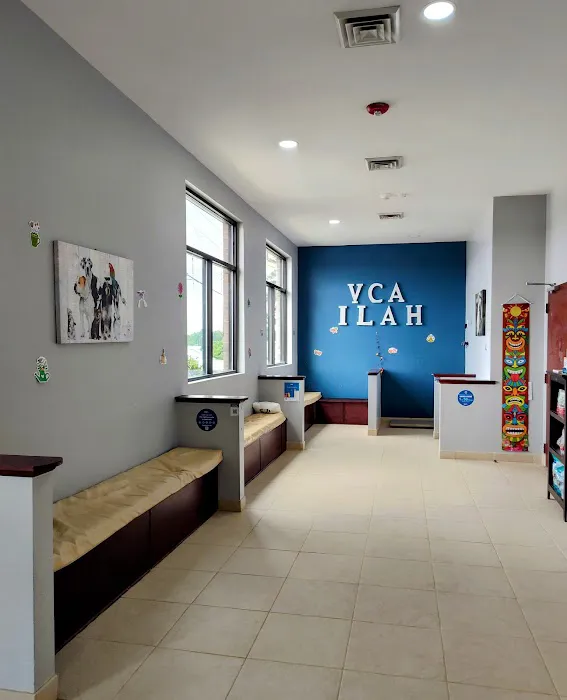 VCA Indian Land Animal Hospital Picture 3