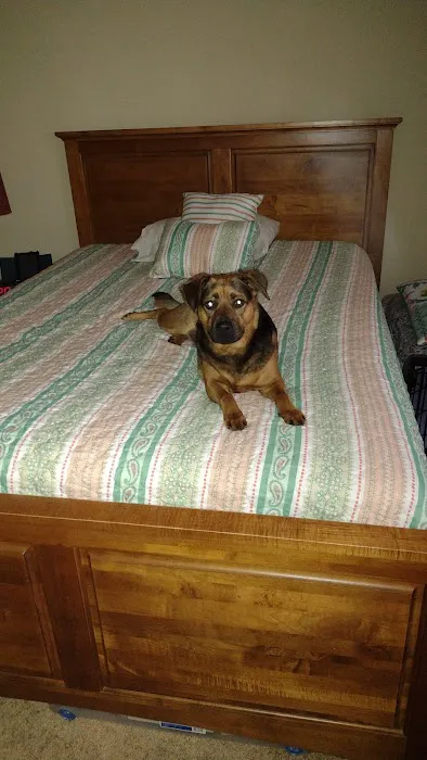 Fort Lawn Animal Hospital LLC Picture 6