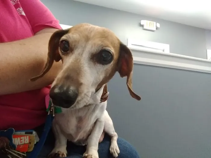Carolina Place Animal Hospital Picture 2