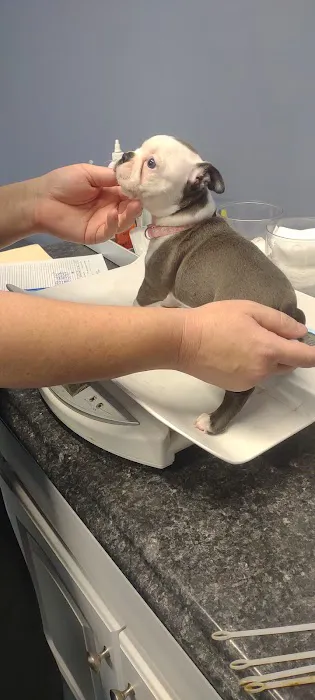 Carolina Place Animal Hospital Picture 1